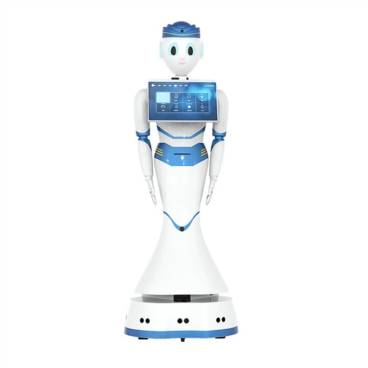 Humanoid Service Robot