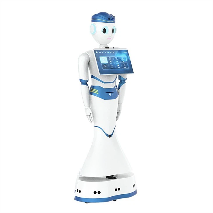 Intelligent Humanoid Service Robot